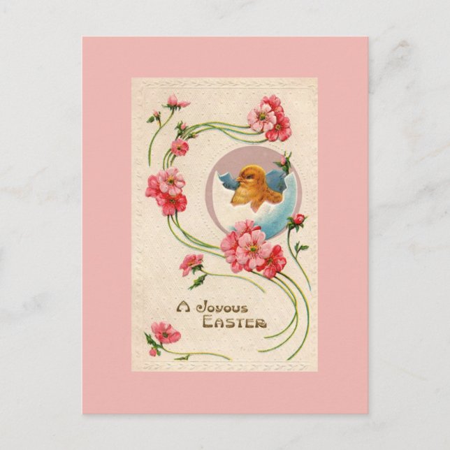 Vintage Påsk Chick vykort (Framsida)