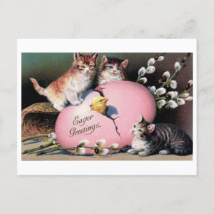 Vintage "Påsk Hälsning Cats & Chick Postcard Vykort