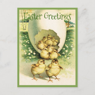 Vintage Påsk Hälsning Chick Vykort