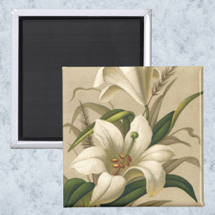 Vintage Påsk Lilies, Victorian Flowers i Bloom Magnet