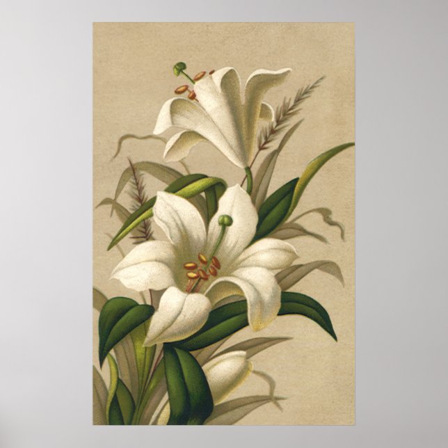 Vintage Påsk Lilies, Victorian Flowers i Bloom Poster (Framsidan)