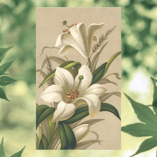 Vintage Påsk Lilies, Victorian Flowers i Bloom Rektangulärt Klistermärke