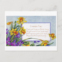 Vintage Påsk Narcissus Flower Vykort