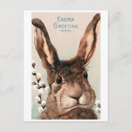 Vintage Påsk Pouty Ansikte Bunny Vykort
