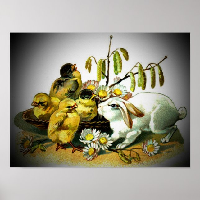 Vintage Påsk White Rabbit & Baby Chickar, ZSSG Poster (Framsidan)