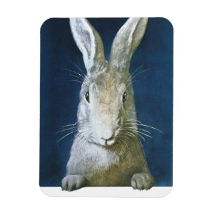 Vintage Påskhare, Cute Hårig White Rabbit Magnet