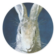 Vintage Påskhare, Cute Hårig White Rabbit