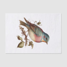 Vintage Pastel Bird Art for Decoupage