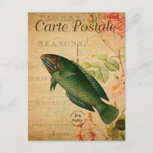 Vintage Pastel Grönt Wrasse Fish Blommigt Fransk Vykort