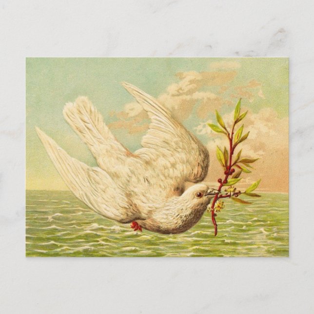 Vintage Peace Dove Vykort (Framsida)