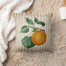 Vintage Peach Botanical