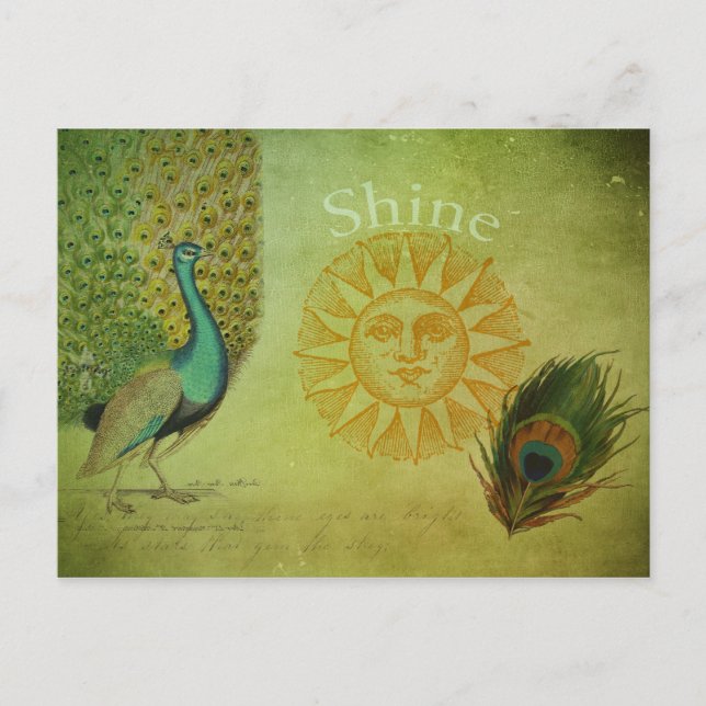 Vintage Peacock Art Collage Vykort (Framsida)