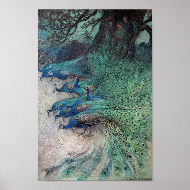 Vintage Peacock Bok Illustration Poster (Framsidan)