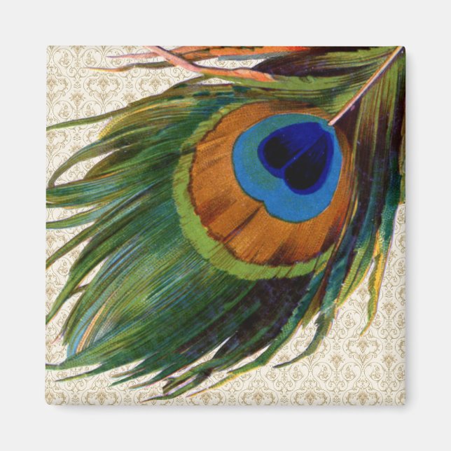 Vintage Peacock Feather Magnet (Framsidan)