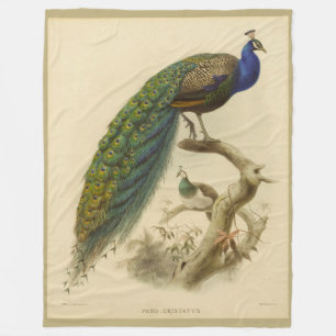 Vintage Peacock Flebit Blanket Fleecefilt