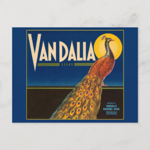 Vintage Peacock Fruit Låda-etikett Vykort