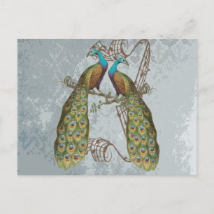 Vintage Peacock Grunge Damask på Silver Vykort
