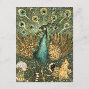 Vintage Peacock Illustration Vykort