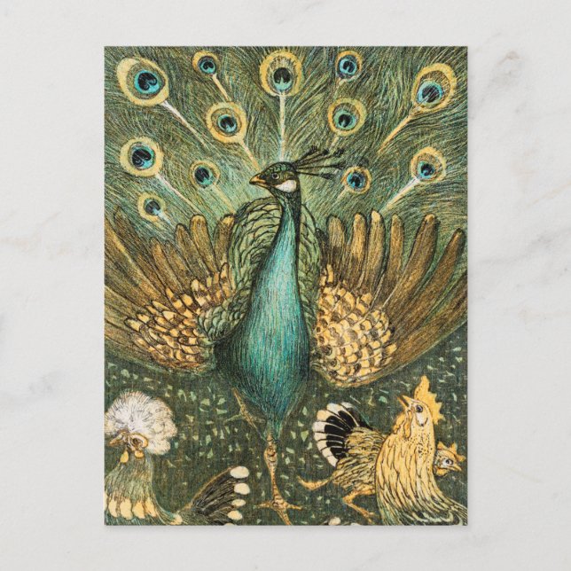 Vintage Peacock Illustration Vykort (Framsida)