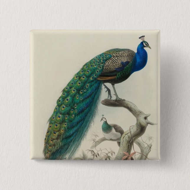 Vintage Peacock Knapp (Framsida)