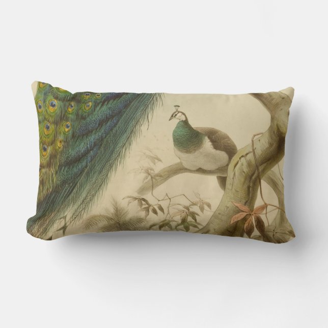 Vintage Peacock Lumbar Pillow Lumbarkudde (Framsida)