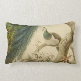 Vintage Peacock Lumbar Pillow Lumbarkudde