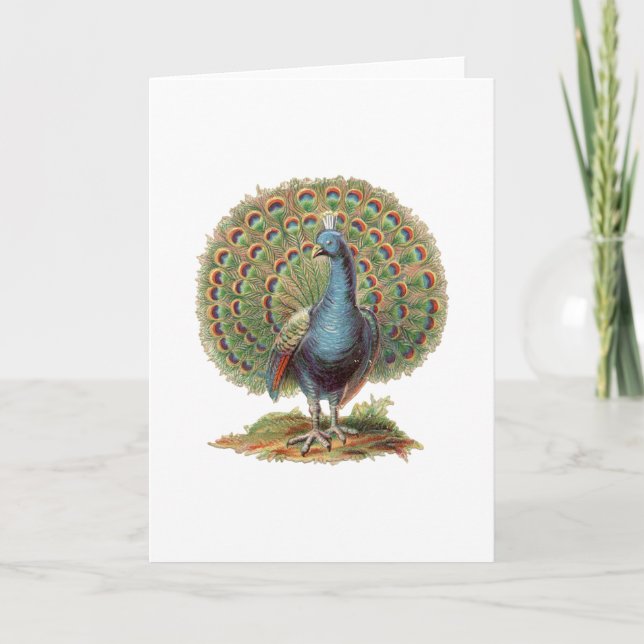 Vintage Peacock ...notecard Kort (Framsida)