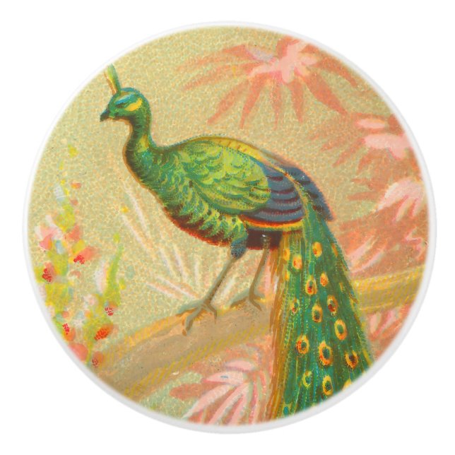 Vintage Peacock- och blommålning Knopp (Framsidan)