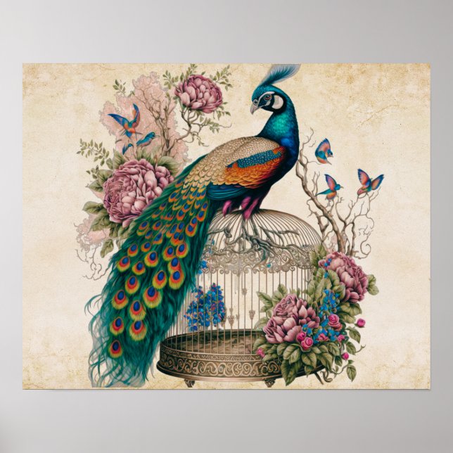 Vintage Peacock på Bird Cage Victorian Poster (Framsidan)