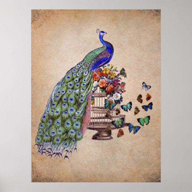 Vintage Peacock på bur Poster (Framsidan)
