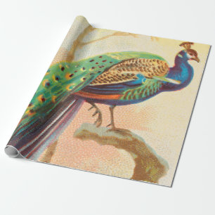 Vintage Peacock på en gren-målning Presentpapper