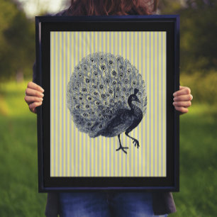 Vintage Peacock på Thin Rand Poster