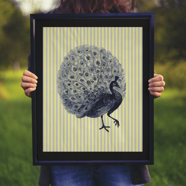 Vintage Peacock på Thin Rand Poster (Skapare uppladdad)