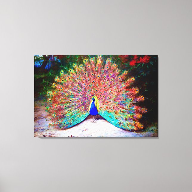 Vintage Peacock Painting Canvastryck (Framsida)
