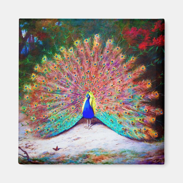 Vintage Peacock Painting Magnet (Framsidan)