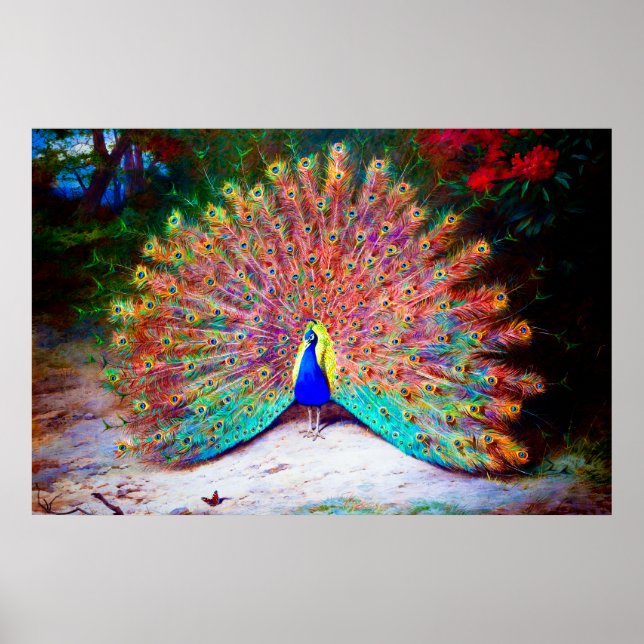 Vintage Peacock Painting Poster (Framsidan)