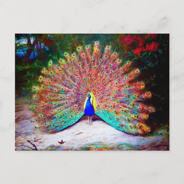 Vintage Peacock Painting Vykort (Framsida)