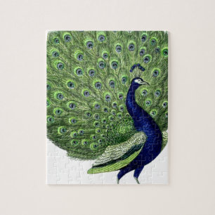 Vintage Peacock Pussel