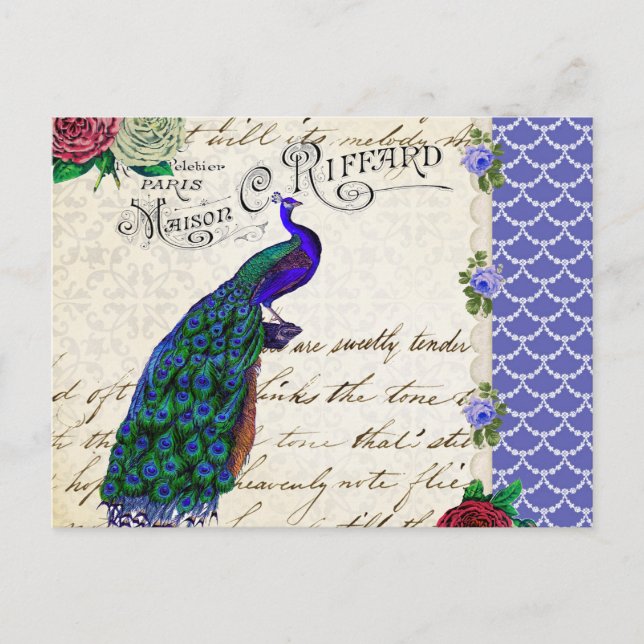 Vintage Peacock Sång Collage Vykort (Framsida)