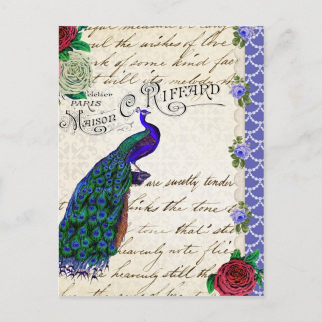 Vintage Peacock Sång Collage Vykort (Framsida)