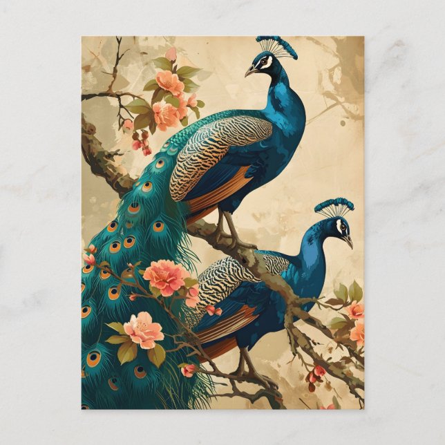 Vintage Peacock Splendor Postcard Vykort (Framsida)