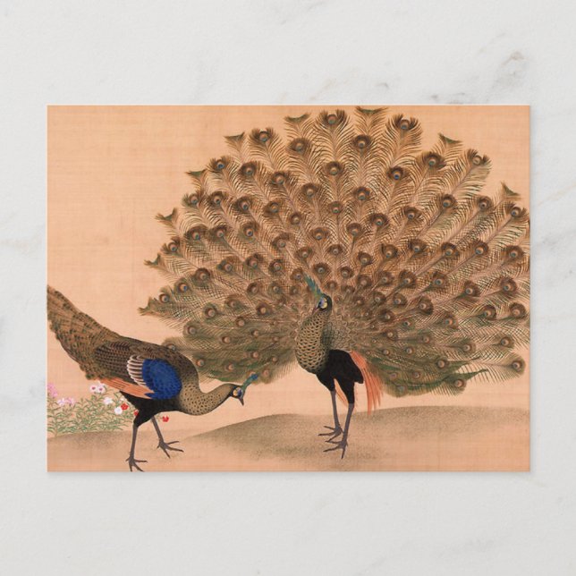 Vintage Peacock Vykort (Framsida)
