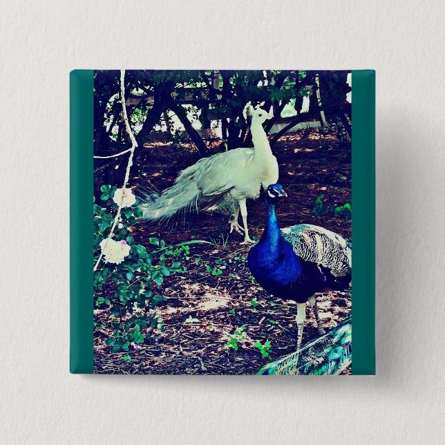 Vintage Peacocks Knapp (Framsida)