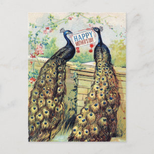 Vintage Peacocks - Lycklig Mors dag Vykort