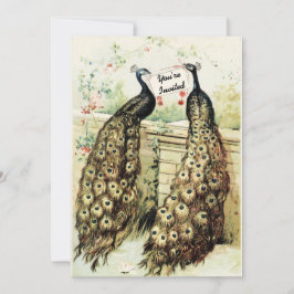 Vintage Peacocks Möhippa Tea Inbjudningar