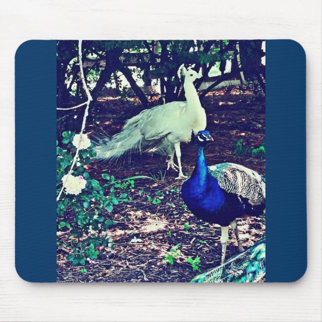 Vintage Peacocks Musmatta (Framsidan)