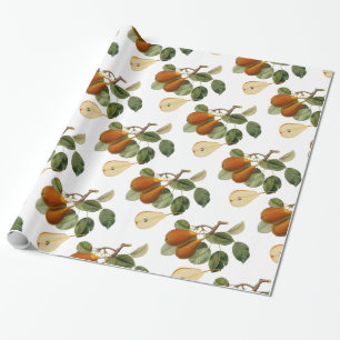 Vintage Pear Botanical Illustration Presentpapper