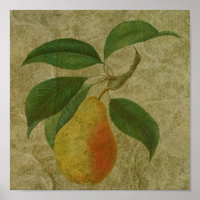 Vintage Pear Poster (Framsidan)