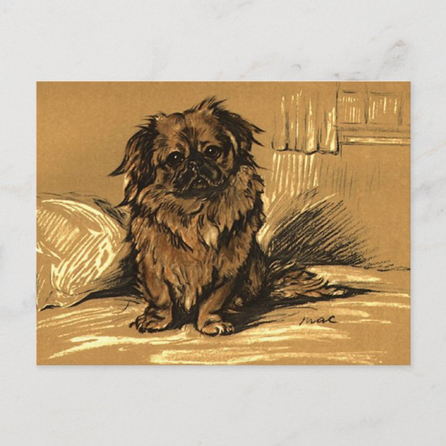 Vintage Pekingeser Vykort (Framsida)