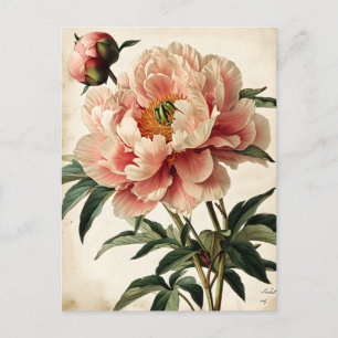 Vintage Peonies Vykort